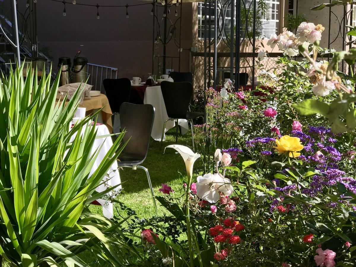 Grace Valley Otel Arequipa Dış mekan fotoğraf