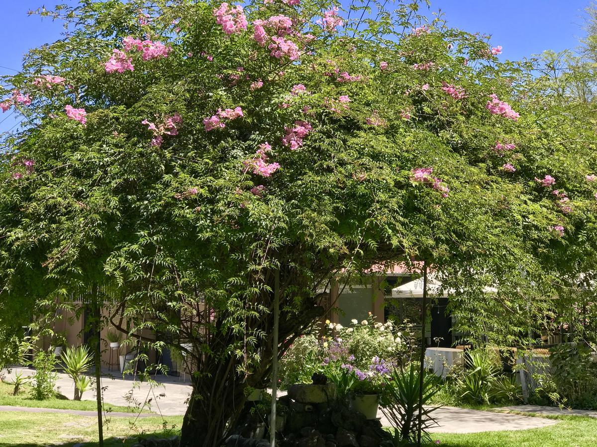 Grace Valley Otel Arequipa Dış mekan fotoğraf