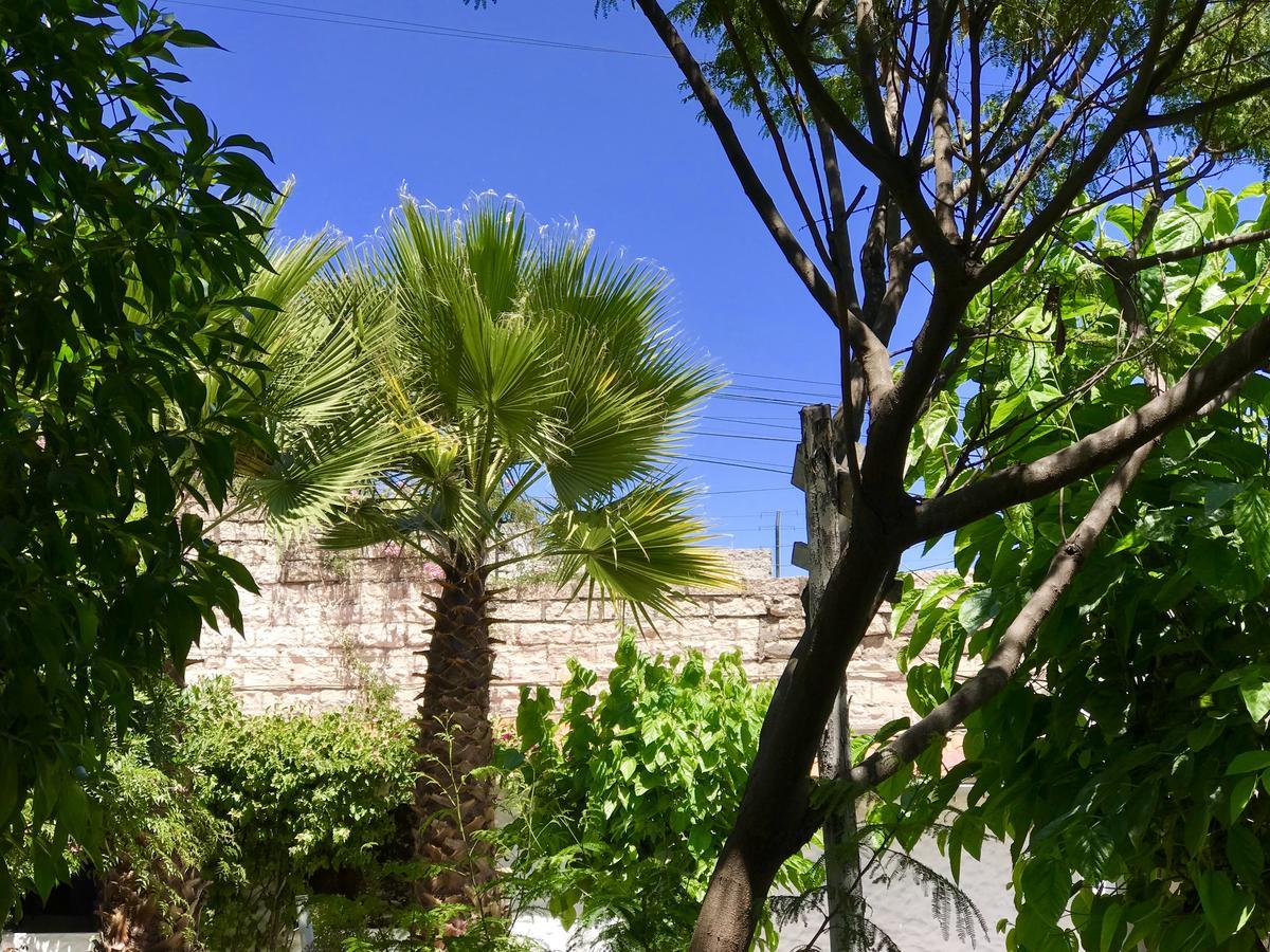 Grace Valley Otel Arequipa Dış mekan fotoğraf