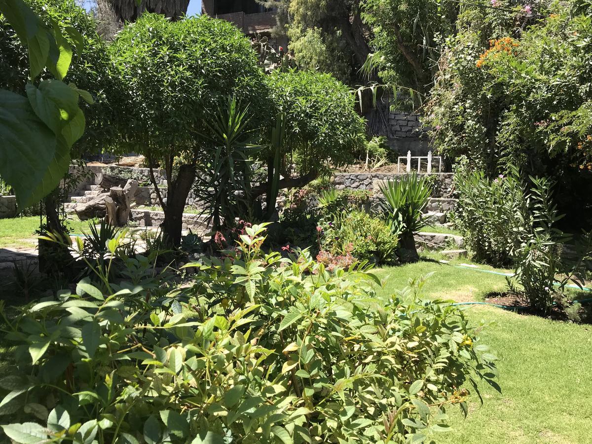 Grace Valley Otel Arequipa Dış mekan fotoğraf