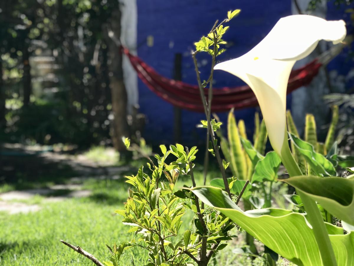 Grace Valley Otel Arequipa Dış mekan fotoğraf
