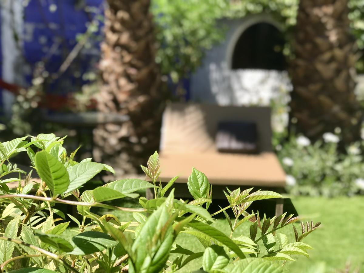 Grace Valley Otel Arequipa Dış mekan fotoğraf