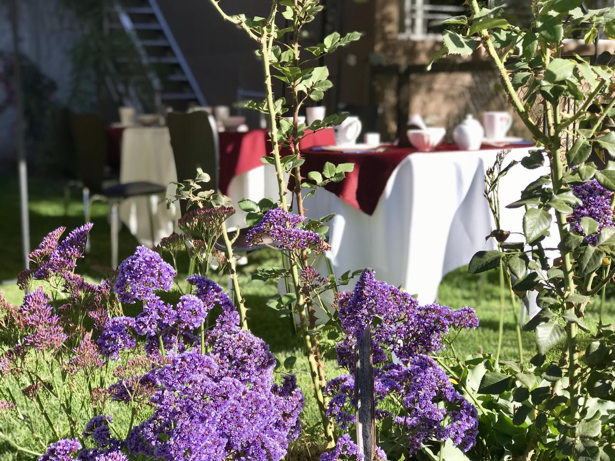 Grace Valley Otel Arequipa Dış mekan fotoğraf