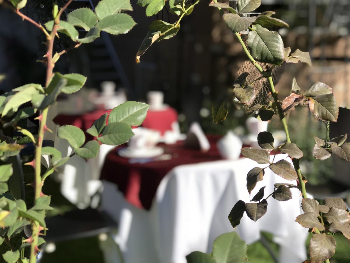 Grace Valley Otel Arequipa Dış mekan fotoğraf