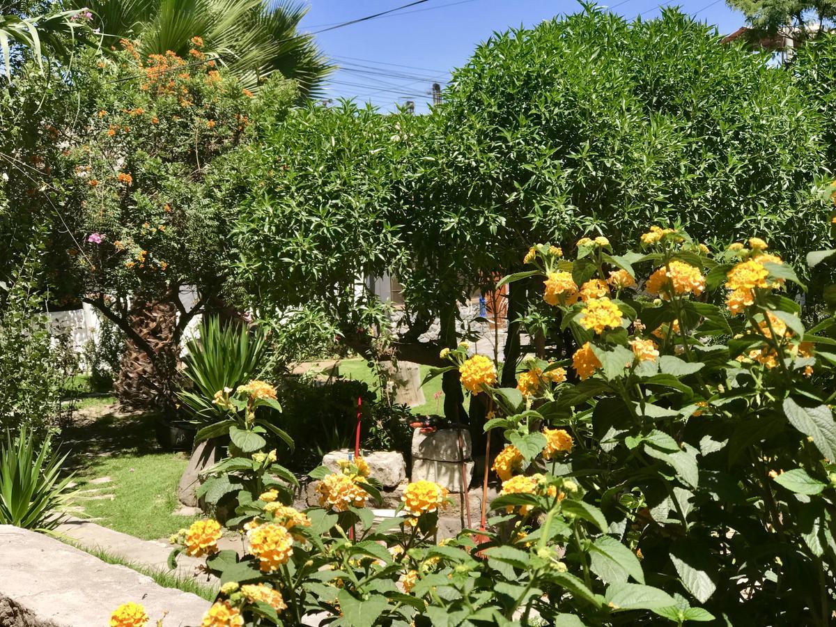 Grace Valley Otel Arequipa Dış mekan fotoğraf