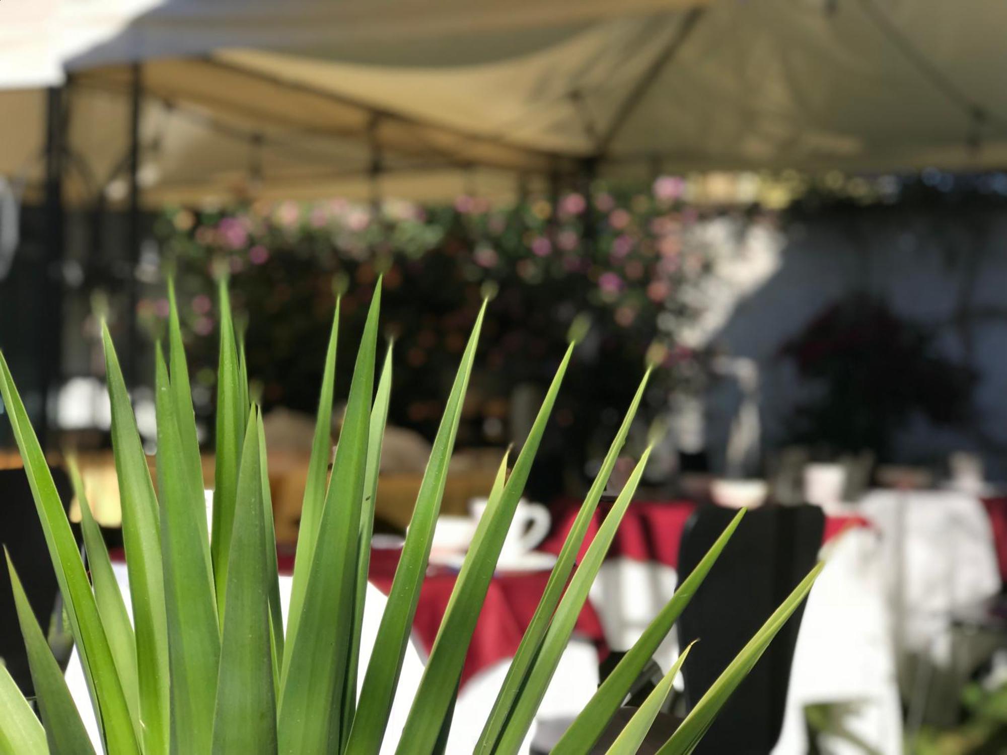 Grace Valley Otel Arequipa Dış mekan fotoğraf