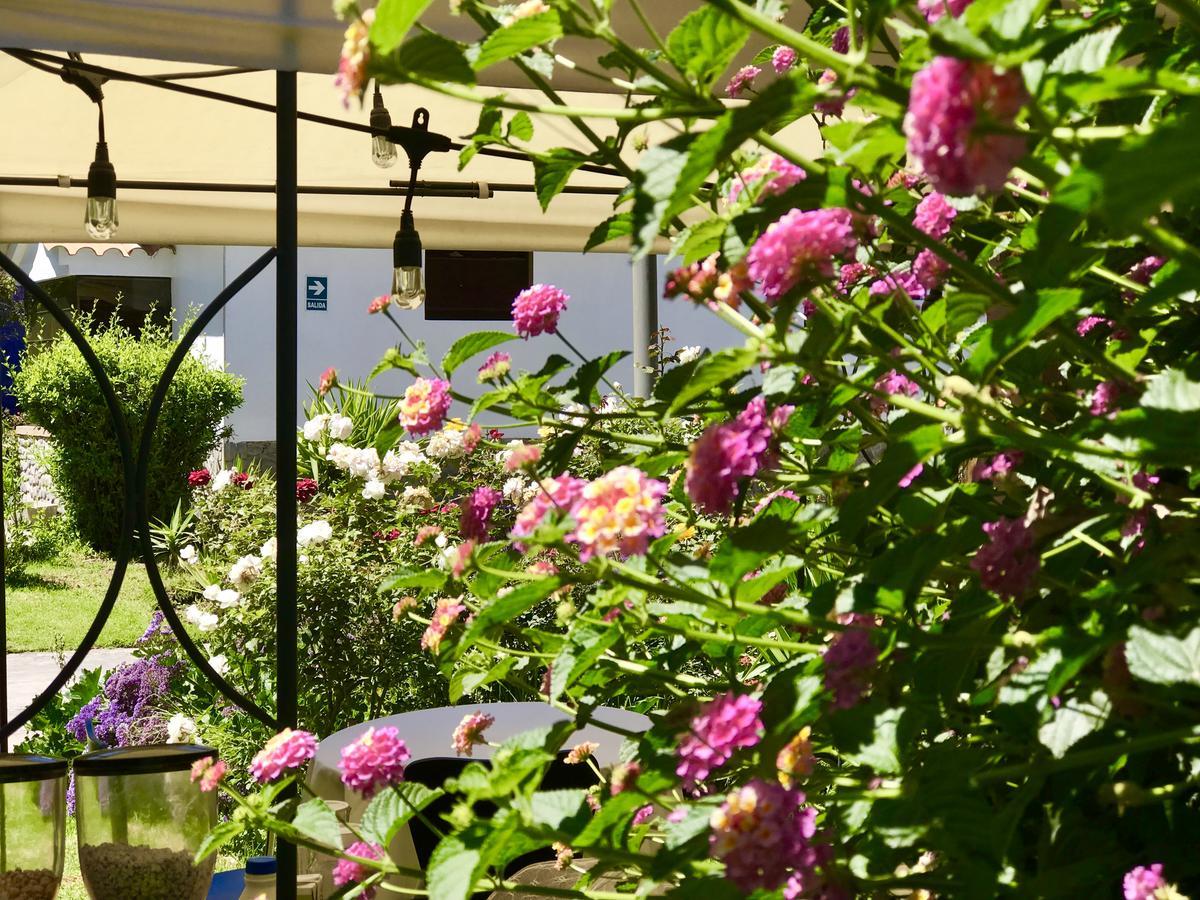 Grace Valley Otel Arequipa Dış mekan fotoğraf
