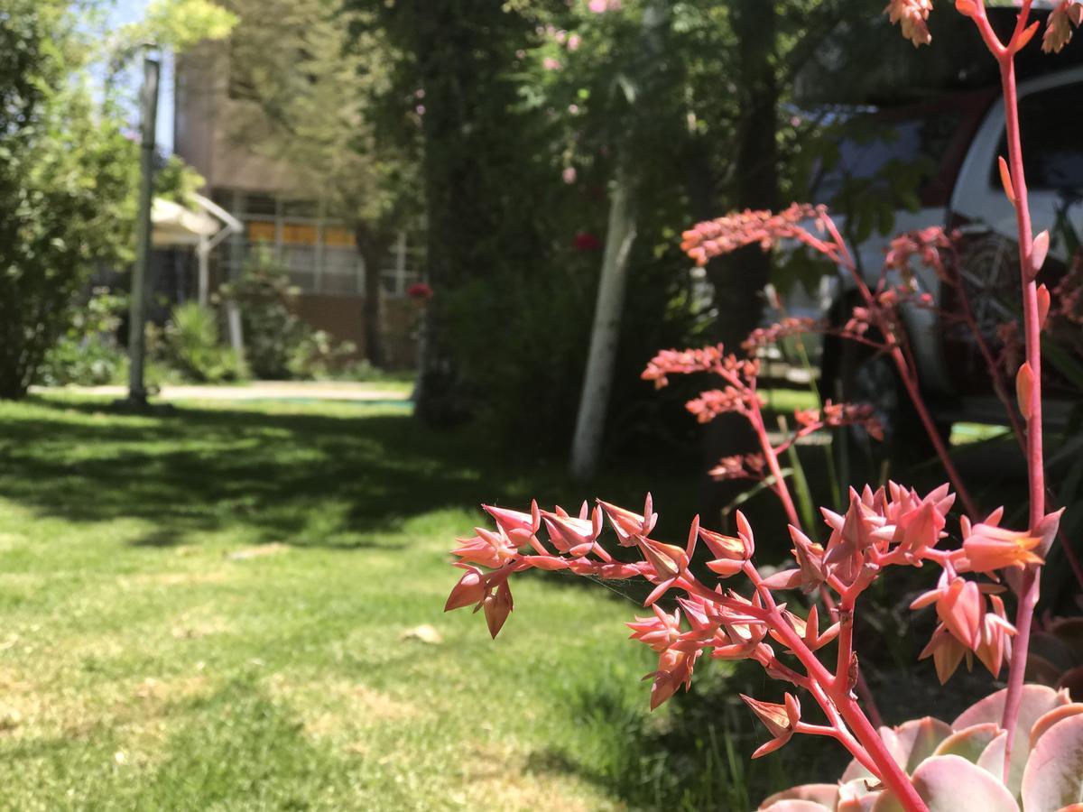 Grace Valley Otel Arequipa Dış mekan fotoğraf
