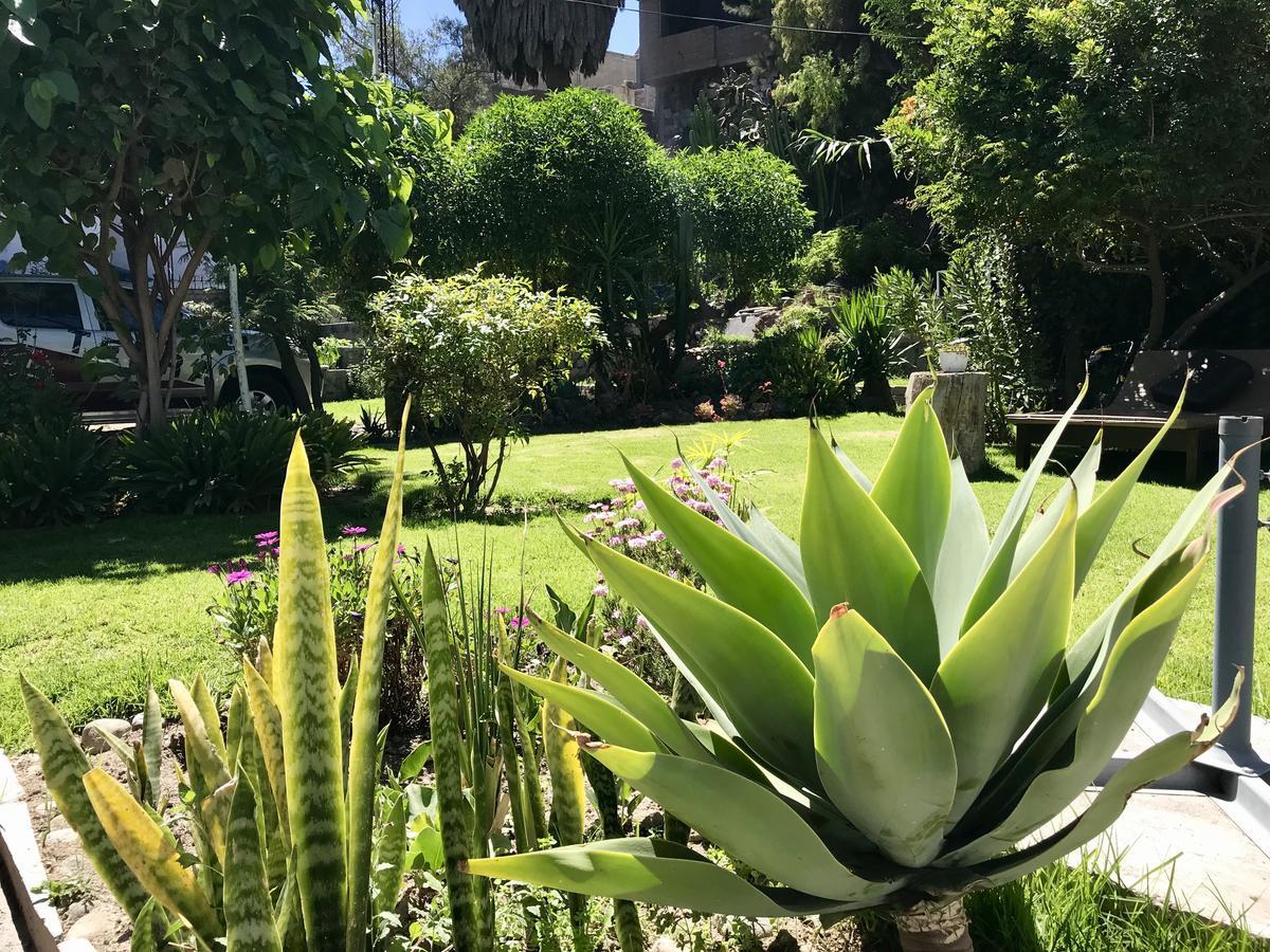 Grace Valley Otel Arequipa Dış mekan fotoğraf