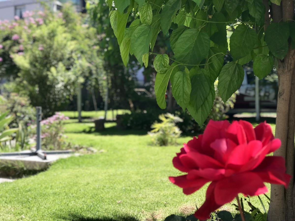Grace Valley Otel Arequipa Dış mekan fotoğraf